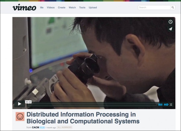 acm-biocomputing-thumb.jpg Screenshot of the video as it appears on Vimeo