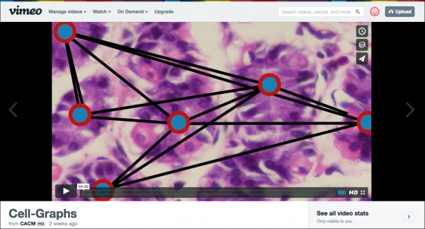 acm-cellgraphs-thumb.jpg Screenshot of the video as it appears on Vimeo